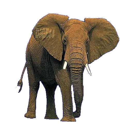 Стикер ANIMALS EMOJI