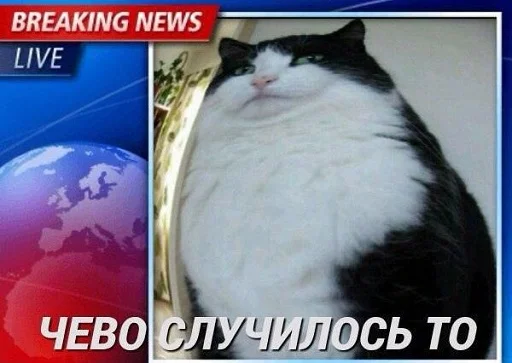 Набор стикеров