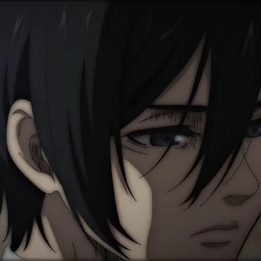 Стикер Ackerman Mikasa