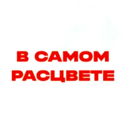 Стикер Красивые надписи