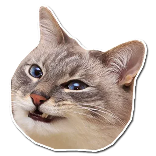 Стикер Шмыхло