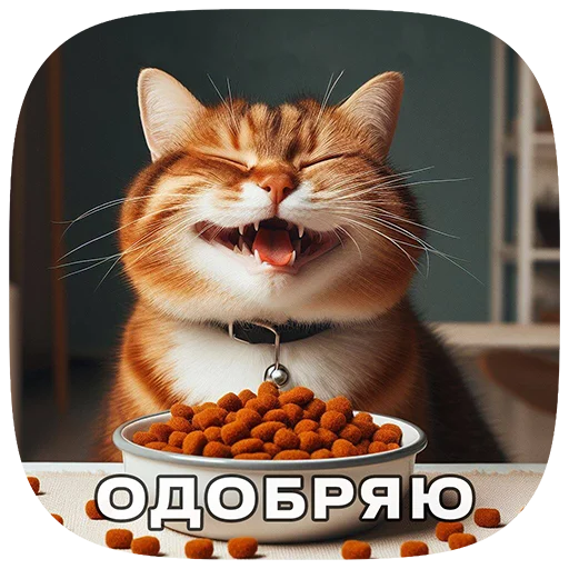 Набор стикеров