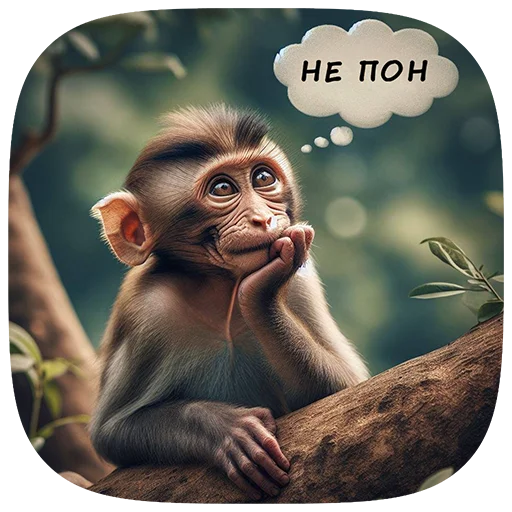 Набор стикеров