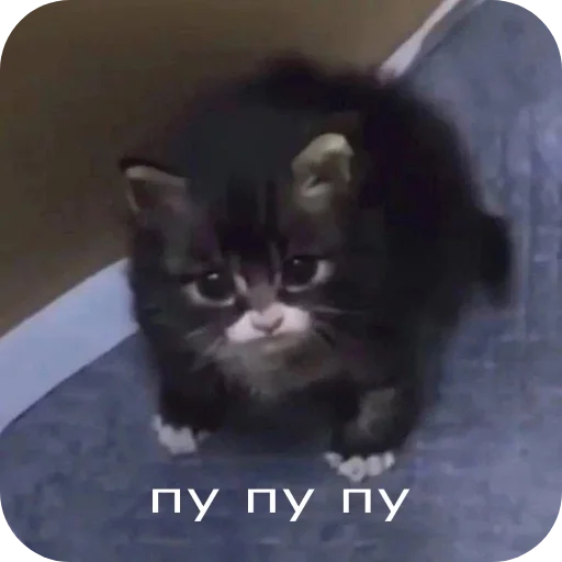 Стикер Аля улю