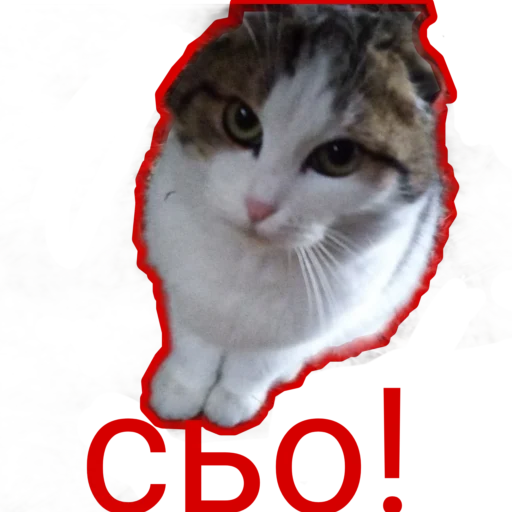 Набор стикеров