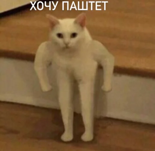 Стикер Memes | Мемы
