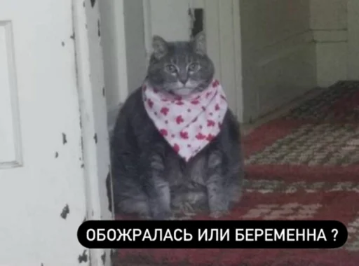 Набор стикеров
