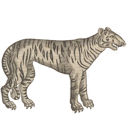 Стикер Art Animals