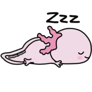 Стикер 💗 Axolote 💗