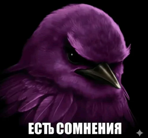 Стикер Birds Memes