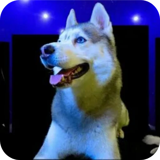 Стикер Бандит Бублик Кекс Коржик