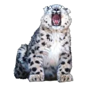 Стикер BarsFukuBaby