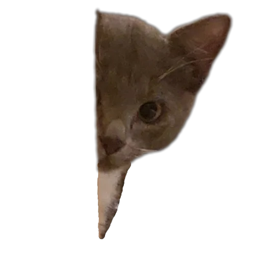 Стикер Ð°Ð²ÑÐ¾Ð±ÑÑÑ