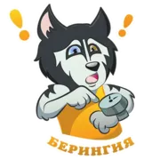 Стикер Beringia