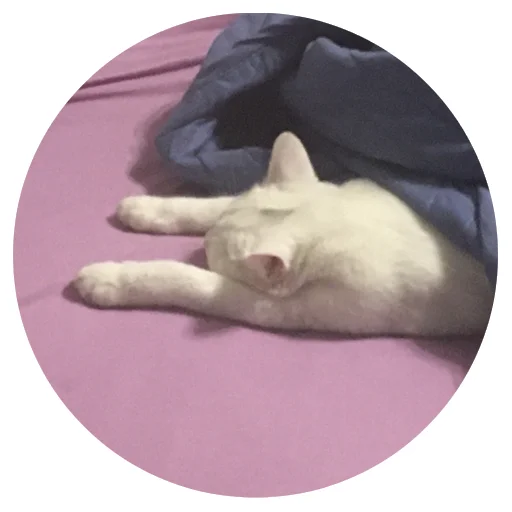 Стикер Бети :3