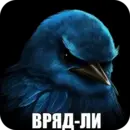 Стикер Birds Memes