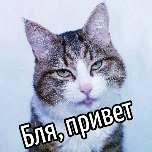 Стикер Ну Бля