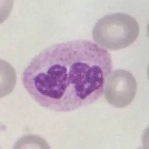 Стикер Blood mood
