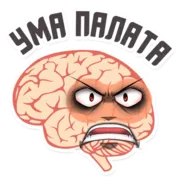 Набор стикеров