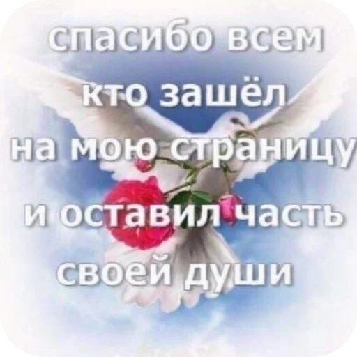 Стикер Чсв