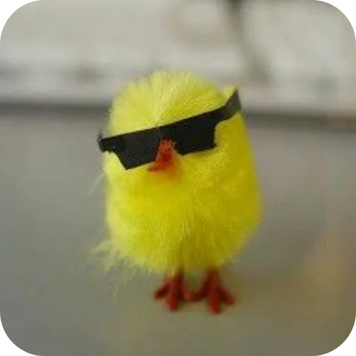 Стикер ЦЫПЫ