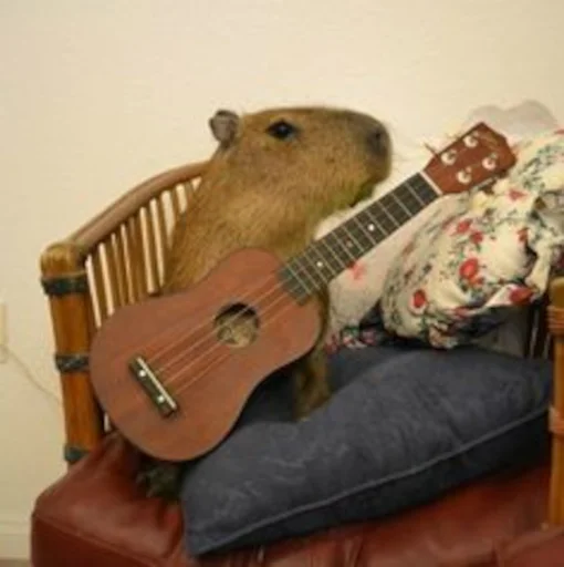 Стикер Capybara