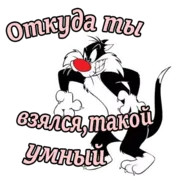 Набор стикеров