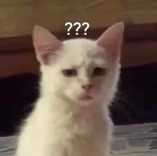 Стикер Cat
