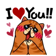 Стикер fun cat