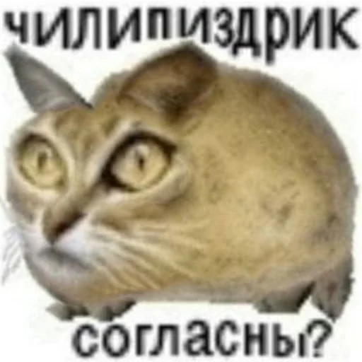 Стикер Чилипиздрик