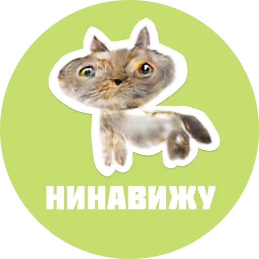 Стикер CreepyCats