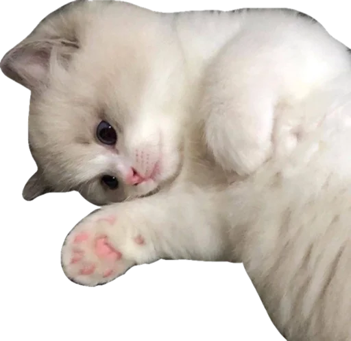 Стикер Cute_vol.3