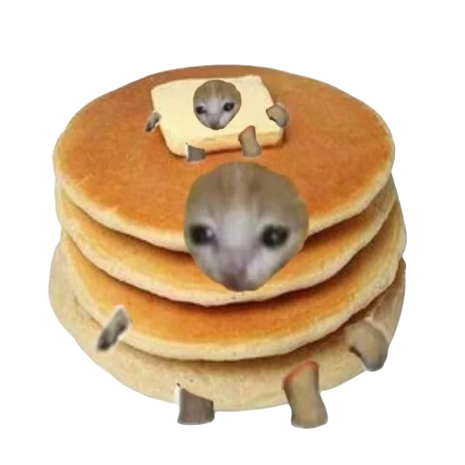 Стикер Catzzz!