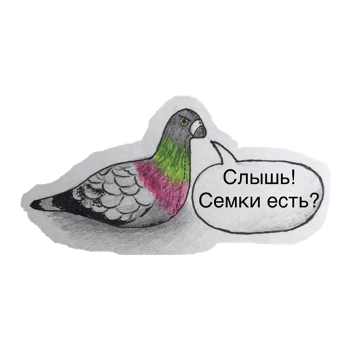 Набор стикеров