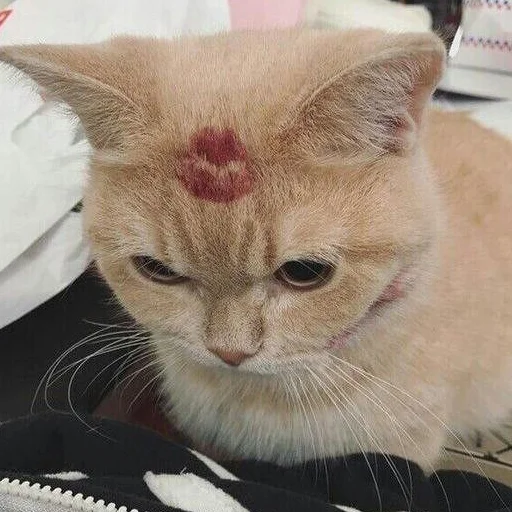 Стикер lουε αeshτeτic ♡