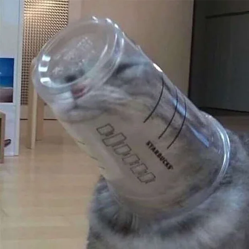 Стикер Derp Zone 🐾