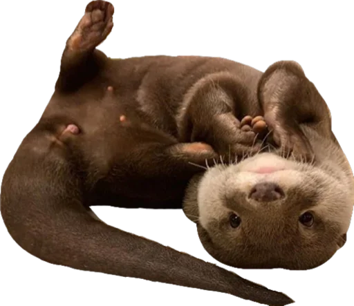 Стикер Devilovee