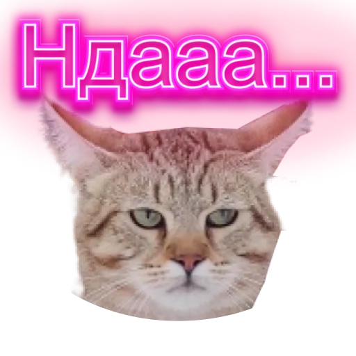 Набор стикеров
