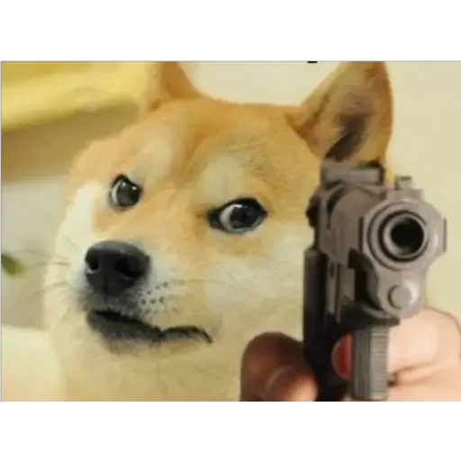 Стикер Doge(Ⲁⲡⲁⲛⲟⲅⲃ)