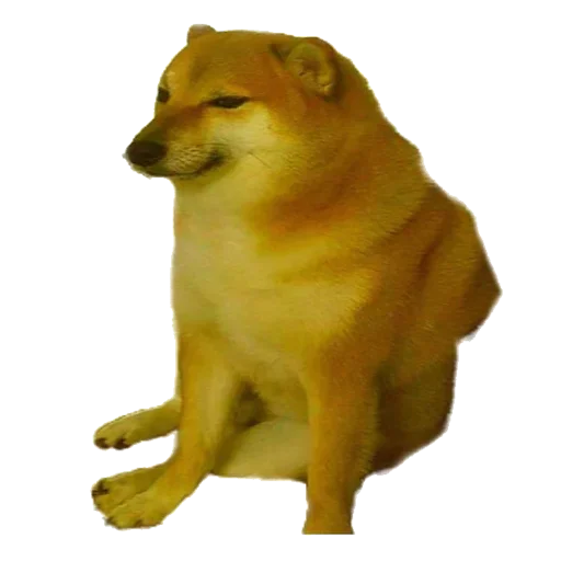 Стикер Doge
