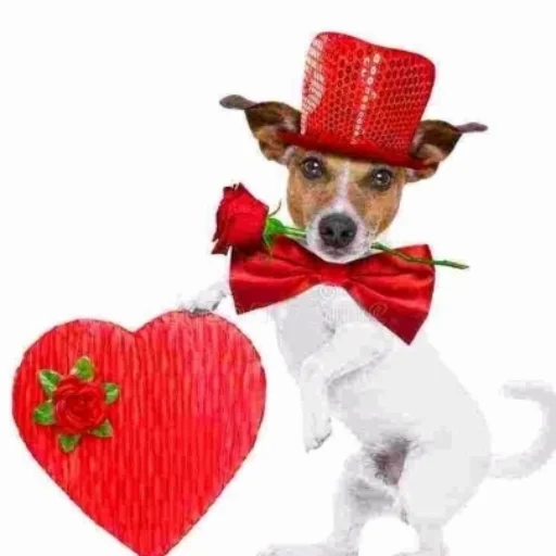 Стикер Догони если сможешь 💋