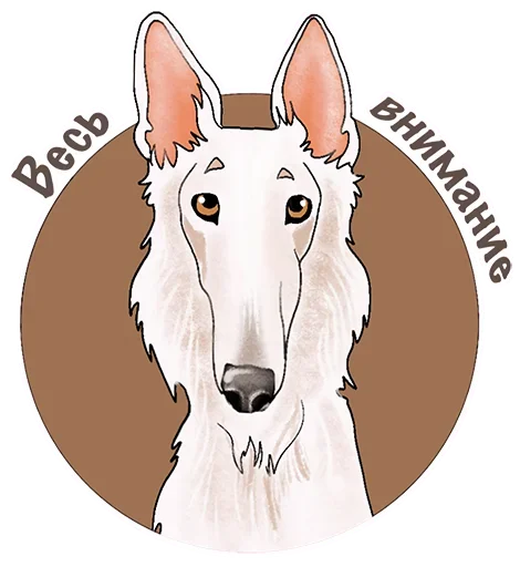 Набор стикеров