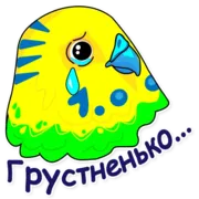 Стикер Попугай Аркадий