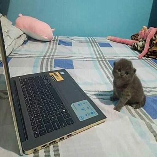 Стикер Efros & Malinov