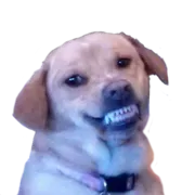 Стикер Facchia