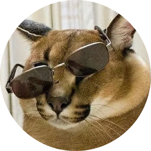 Стикер Fake Circle