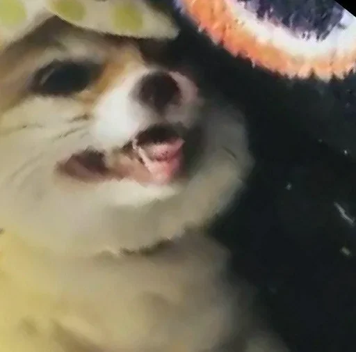 Стикер FensFennekPack2