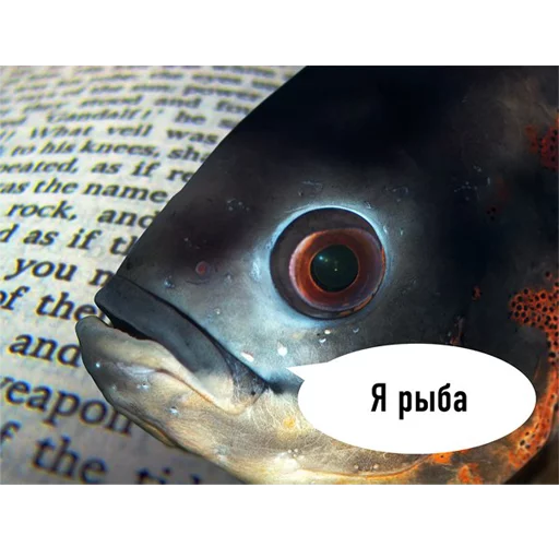Стикер fish