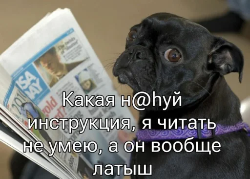 Набор стикеров
