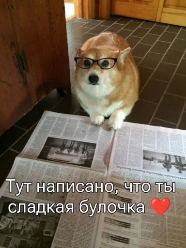 Набор стикеров